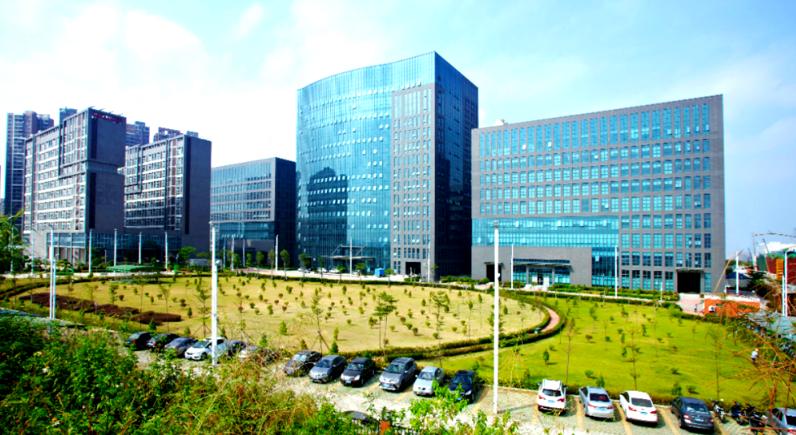 有机农产品溯源体系建设:从田间到餐桌的品控关键环节解析